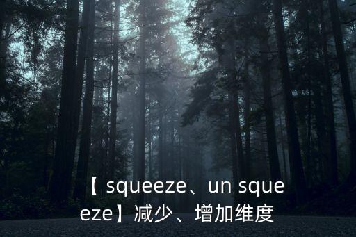 【 squeeze、un squeeze】減少、增加維度