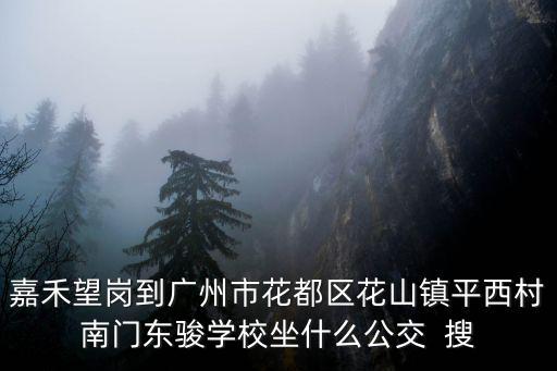 嘉禾望崗到廣州市花都區(qū)花山鎮(zhèn)平西村南門東駿學校坐什么公交  搜