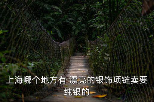 上海哪個地方有 漂亮的銀飾項鏈賣要純銀的