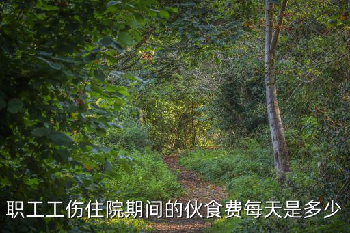 職工工傷住院期間的伙食費(fèi)每天是多少