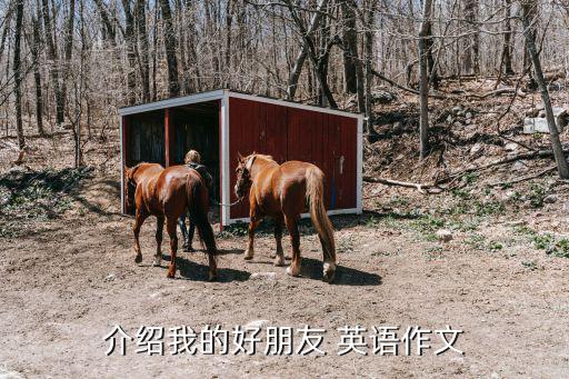 介紹我的好朋友 英語作文