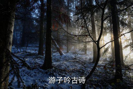 游子吟全詩,《游子陰》引申資料:慈母手中線，游子穿上衣服