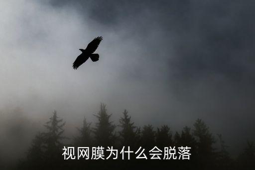 視網(wǎng)膜脫落原因，視網(wǎng)膜脫落的原因是什么