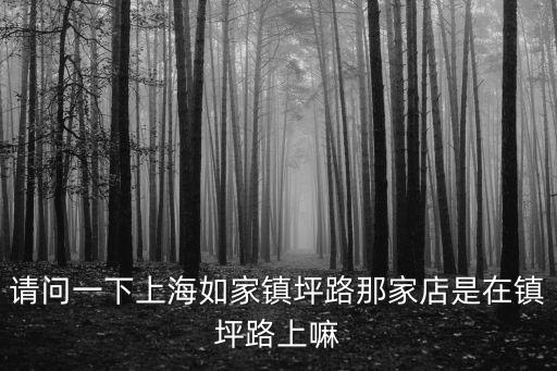 請問一下上海如家鎮(zhèn)坪路那家店是在鎮(zhèn)坪路上嘛