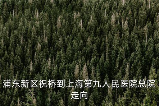 上海市第九人民醫院祝橋，上海九院外灘分院什么時間開業