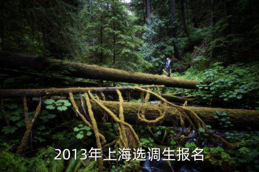 2013年上海選調生報名
