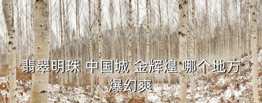 翡翠明珠 中國城 金輝煌 哪個地方爆幻爽