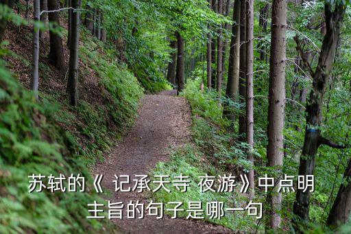 記承天寺夜游主旨,蘇東坡在貶謫后的感情表達(dá)