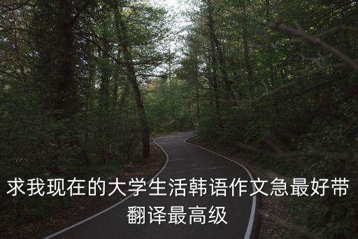 求我現在的大學生活韓語作文急最好帶翻譯最高級