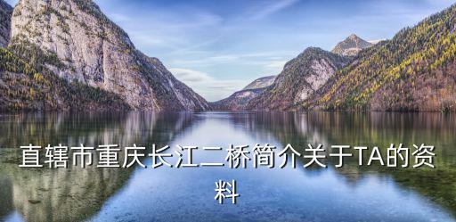 重慶市軌道18號線長江二橋站，直轄市重慶長江二橋簡介關于TA的資料