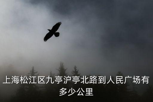 上海松江區九亭滬亭北路到人民廣場有多少公里