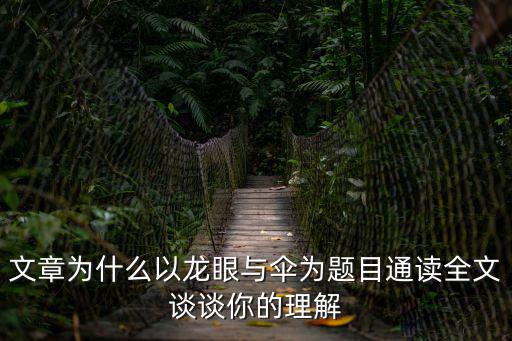 龍眼與傘，遲子建龍眼與傘句子賞析