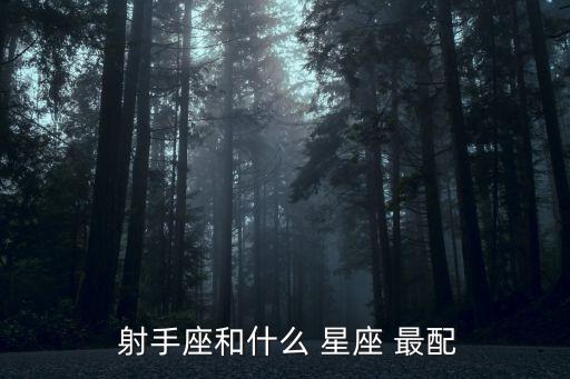  射手座和什么 星座 最配