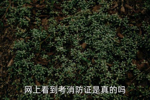 網上看到考消防證是真的嗎