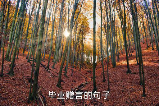 畢業贈言的句子