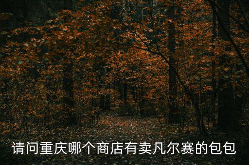 請問重慶哪個商店有賣凡爾賽的包包