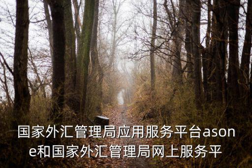 國家外匯管理局應用服務平臺asone和國家外匯管理局網上服務平