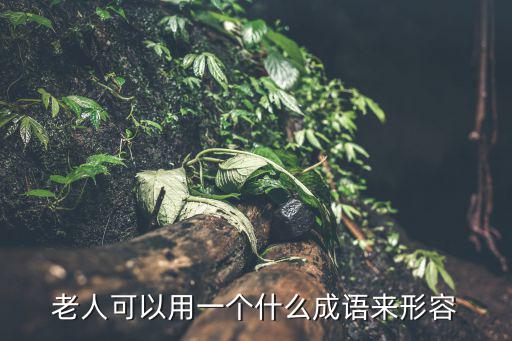 老人可以用一個什么成語來形容