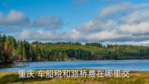 重慶 車船稅和路橋費在哪里交
