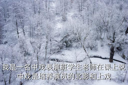 我是一名中戲表演班學生老師在課上說中戲是培養演員的北影和上戲
