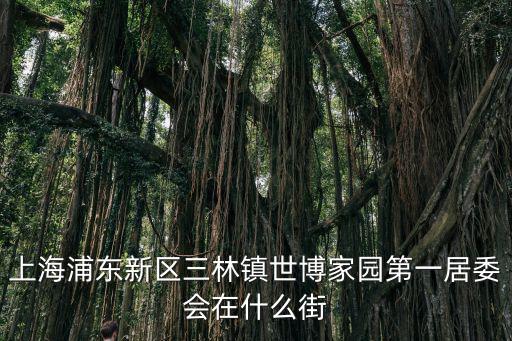 上海市三林鎮村委會，上海浦東新區三林鎮世博家園第一居委會在什么街