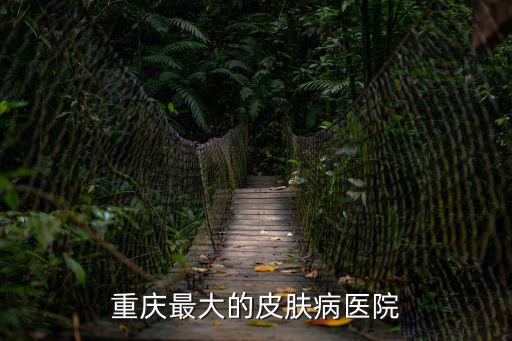 重慶市渝中區皮膚專科，重慶最大的皮膚病醫院