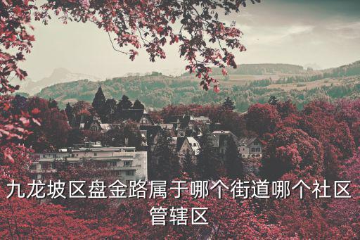 重慶市九龍坡區(qū)盤龍街道投訴，重慶九龍坡區(qū)信訪辦地址在那里
