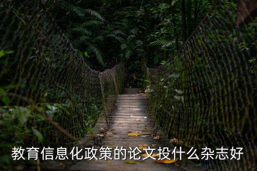 教育信息化政策的論文投什么雜志好