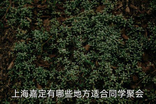 上海嘉定有哪些地方適合同學聚會