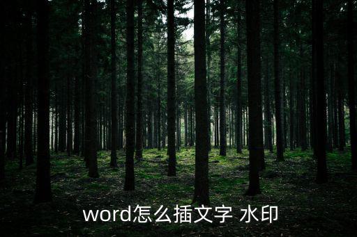  word怎么插文字 水印