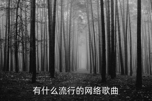 有什么流行的網(wǎng)絡歌曲