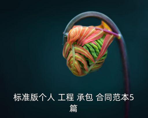 標準版個人 工程 承包 合同范本5篇