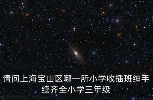 請問上海寶山區哪一所小學收插班紳手續齊全小學三年級