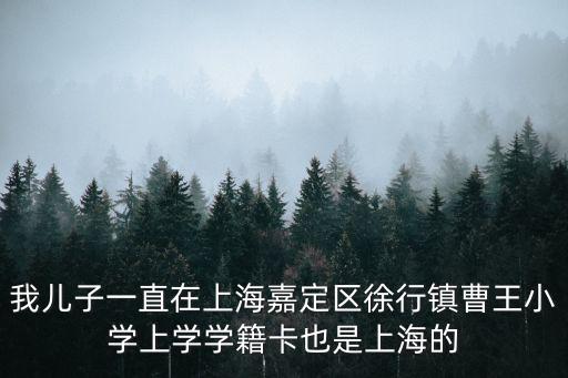 我兒子一直在上海嘉定區徐行鎮曹王小學上學學籍卡也是上海的