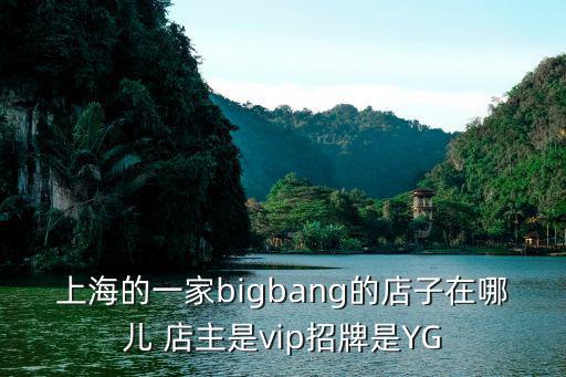 上海的一家bigbang的店子在哪兒 店主是vip招牌是YG