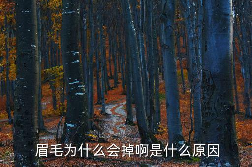  眉毛為什么會掉啊是什么原因