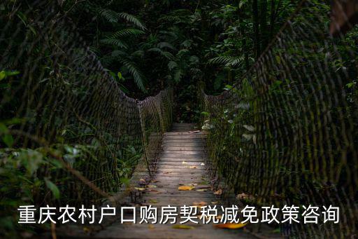 重慶農村戶口購房契稅減免政策咨詢