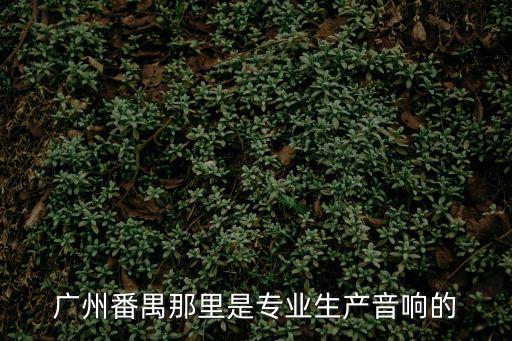 廣州番禺那里是專業(yè)生產(chǎn)音響的
