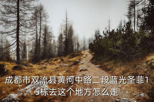 成都市雙流縣黃河中路二段藍(lán)光圣菲15棟去這個(gè)地方怎么走