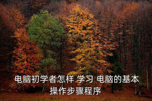  電腦初學者怎樣 學習 電腦的基本操作步驟程序
