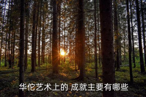  華佗藝術上的 成就主要有哪些