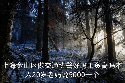 上海金山區(qū)做交通協(xié)警好嗎工資高嗎本人20歲老媽說5000一個