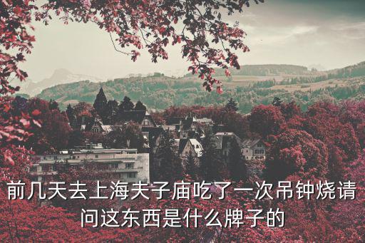 前幾天去上海夫子廟吃了一次吊鐘燒請(qǐng)問(wèn)這東西是什么牌子的