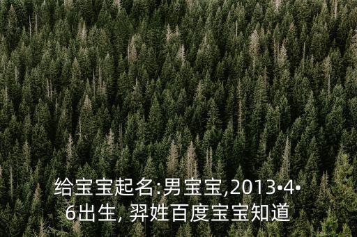 給寶寶起名:男寶寶,2013?4?6出生, 羿姓百度寶寶知道