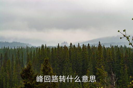 峰回路轉什么意思