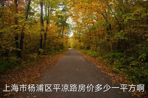 上海市楊浦區(qū)平?jīng)雎贩績(jī)r(jià)多少一平方啊