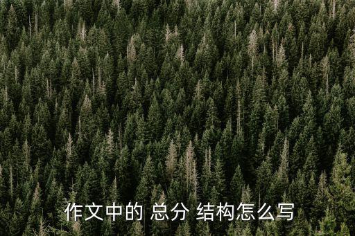 作文中的 總分 結構怎么寫