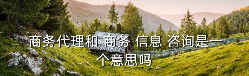  商務代理和 商務 信息 咨詢是一個意思嗎