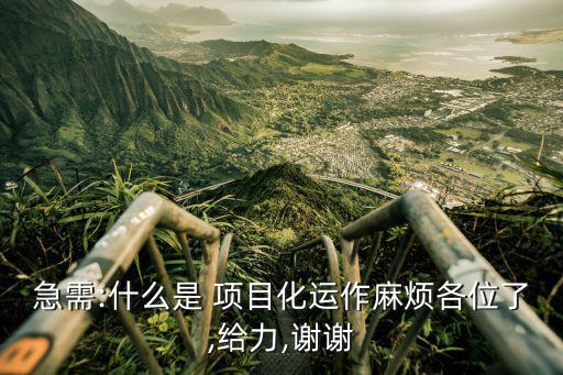 項目化管理,項目化學管理模式也叫項目執行管理