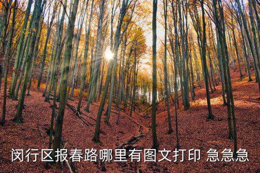 閔行區(qū)報春路哪里有圖文打印 急急急